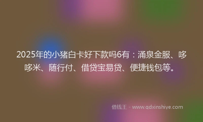 2025年的小猪白卡好下款吗6有：涌泉金服、哆哆米、随行付、借贷宝易贷、便捷钱包等。