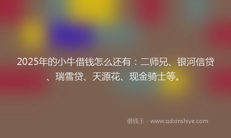 2025年的小牛借钱怎么还有：二师兄、银河信贷、瑞雪贷、天源花、现金骑士等。