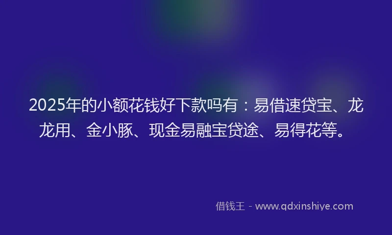 2025年的小额花钱好下款吗有：易借速贷宝、龙龙用、金小豚、现金易融宝贷途、易得花等。