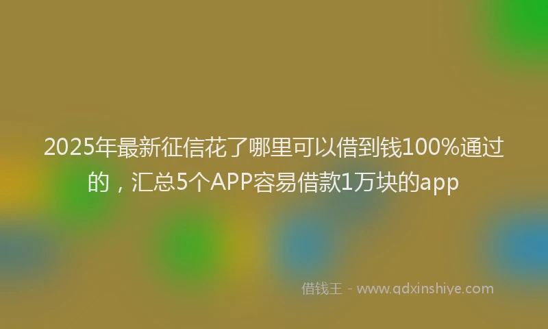 2025年最新征信花了哪里可以借到钱100%通过的，汇总5个APP容易借款1万块的app