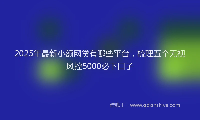 2025年最新小额网贷有哪些平台，梳理五个无视风控5000必下口子