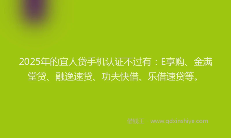 2025年的宜人贷手机认证不过有：E享购、金满堂贷、融逸速贷、功夫快借、乐借速贷等。