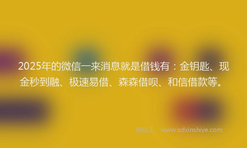 2025年的微信一来消息就是借钱有：金钥匙、现金秒到融、极速易借、森森借呗、和信借款等。