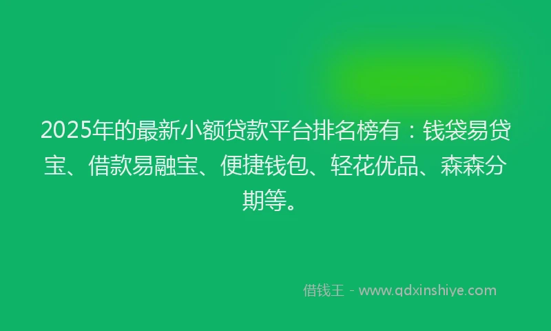 2025年的最新小额贷款平台排名榜有：钱袋易贷宝、借款易融宝、便捷钱包、轻花优品、森森分期等。