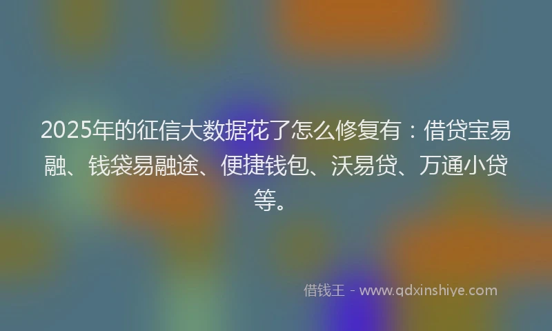 2025年的征信大数据花了怎么修复有：借贷宝易融、钱袋易融途、便捷钱包、沃易贷、万通小贷等。
