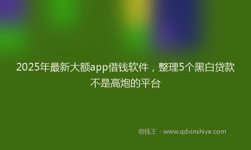 2025年最新大额app借钱软件，整理5个黑白贷款不是高炮的平台