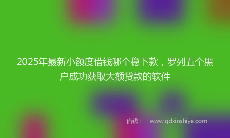 2025年最新小额度借钱哪个稳下款，罗列五个黑户成功获取大额贷款的软件