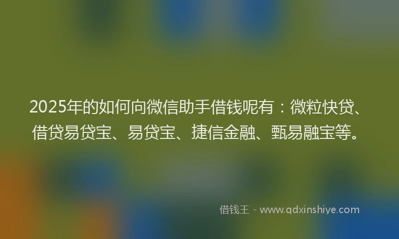 2025年的如何向微信助手借钱呢有：微粒快贷、借贷易贷宝、易贷宝、捷信金融、甄易融宝等。