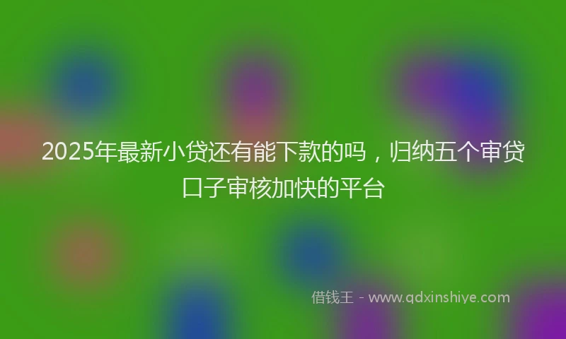 2025年最新小贷还有能下款的吗，归纳五个审贷口子审核加快的平台