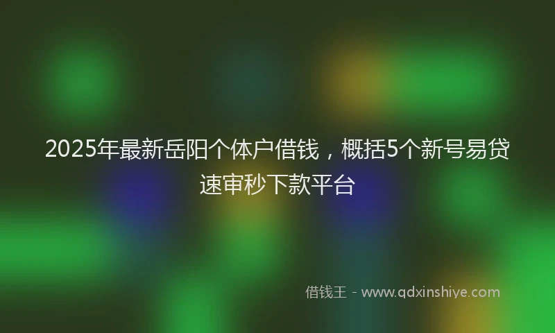 2025年最新岳阳个体户借钱，概括5个新号易贷速审秒下款平台