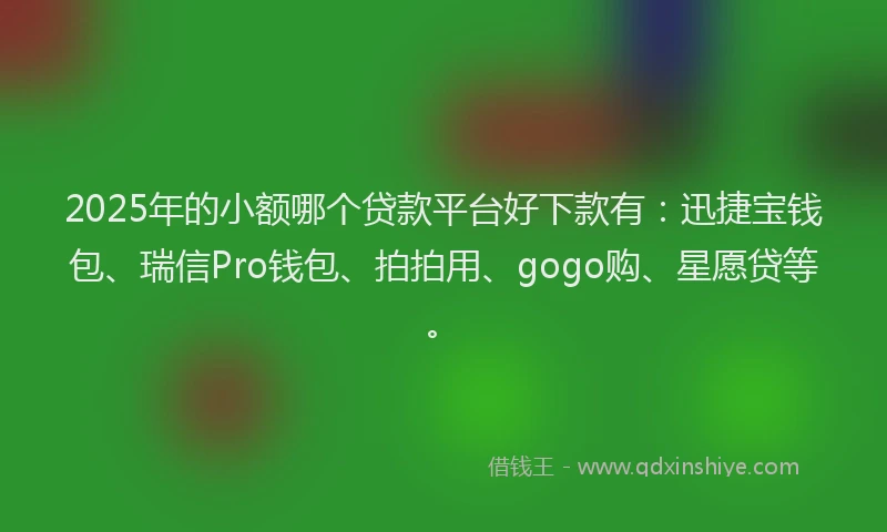 2025年的小额哪个贷款平台好下款有：迅捷宝钱包、瑞信Pro钱包、拍拍用、gogo购、星愿贷等。