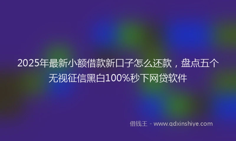 2025年最新小额借款新口子怎么还款，盘点五个无视征信黑白100%秒下网贷软件