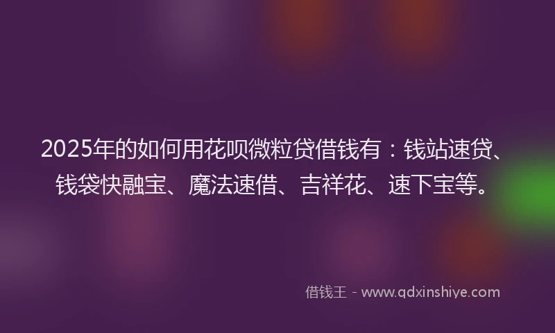 2025年的如何用花呗微粒贷借钱有：钱站速贷、钱袋快融宝、魔法速借、吉祥花、速下宝等。