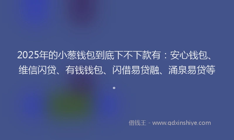 2025年的小葱钱包到底下不下款有：安心钱包、维信闪贷、有钱钱包、闪借易贷融、涌泉易贷等。
