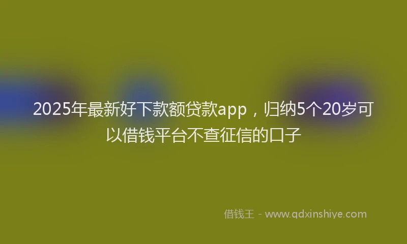 2025年最新好下款额贷款app，归纳5个20岁可以借钱平台不查征信的口子