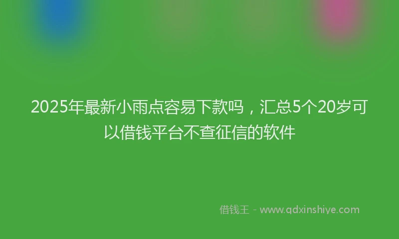 2025年最新小雨点容易下款吗，汇总5个20岁可以借钱平台不查征信的软件