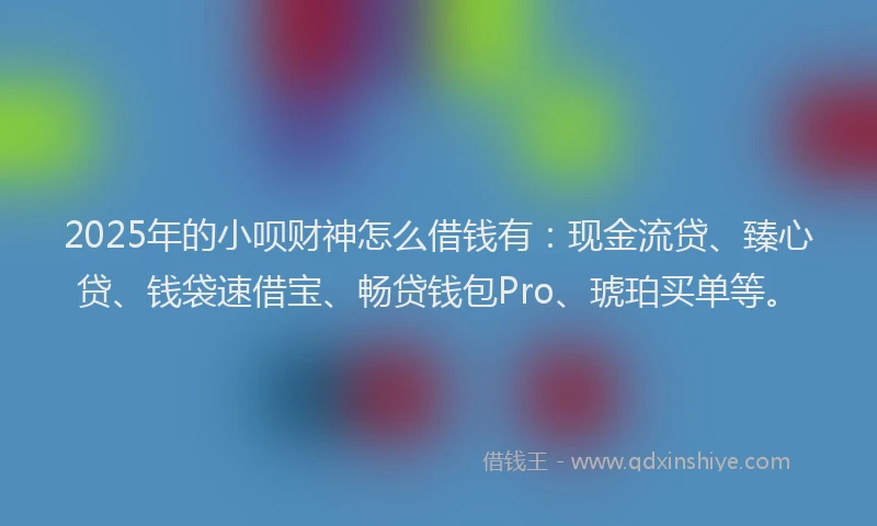 2025年的小呗财神怎么借钱有：现金流贷、臻心贷、钱袋速借宝、畅贷钱包Pro、琥珀买单等。