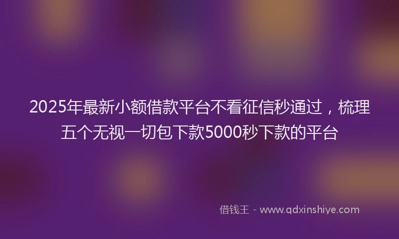 2025年最新小额借款平台不看征信秒通过，梳理五个无视一切包下款5000秒下款的平台