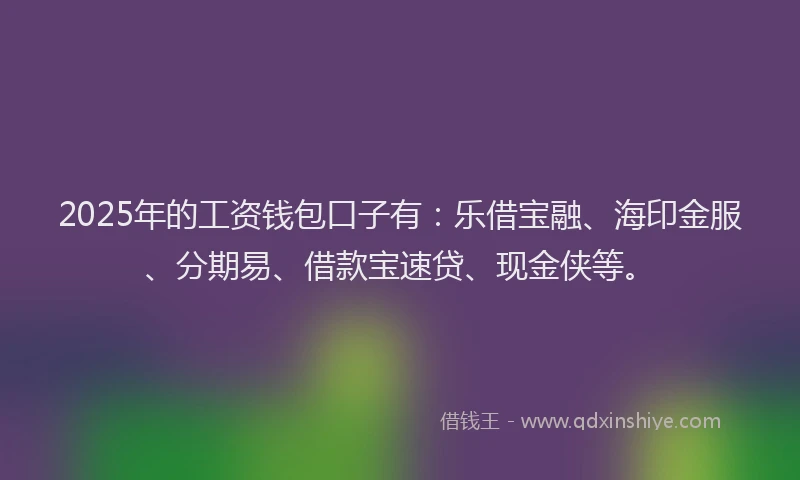 2025年的工资钱包口子有：乐借宝融、海印金服、分期易、借款宝速贷、现金侠等。