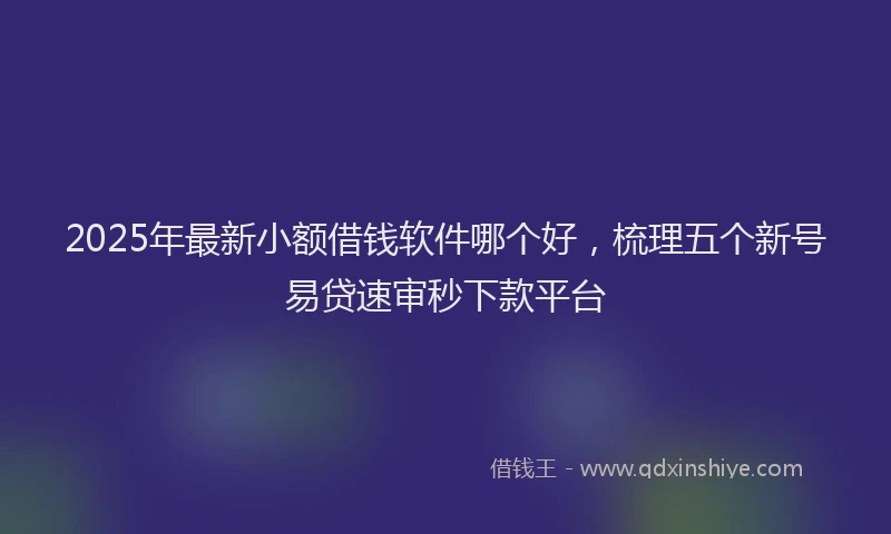 2025年最新小额借钱软件哪个好，梳理五个新号易贷速审秒下款平台