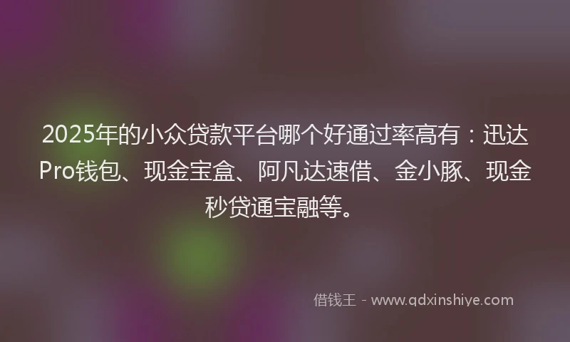 2025年的小众贷款平台哪个好通过率高有：迅达Pro钱包、现金宝盒、阿凡达速借、金小豚、现金秒贷通宝融等。