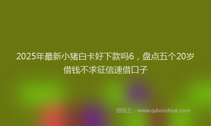 2025年最新小猪白卡好下款吗6，盘点五个20岁借钱不求征信速借口子