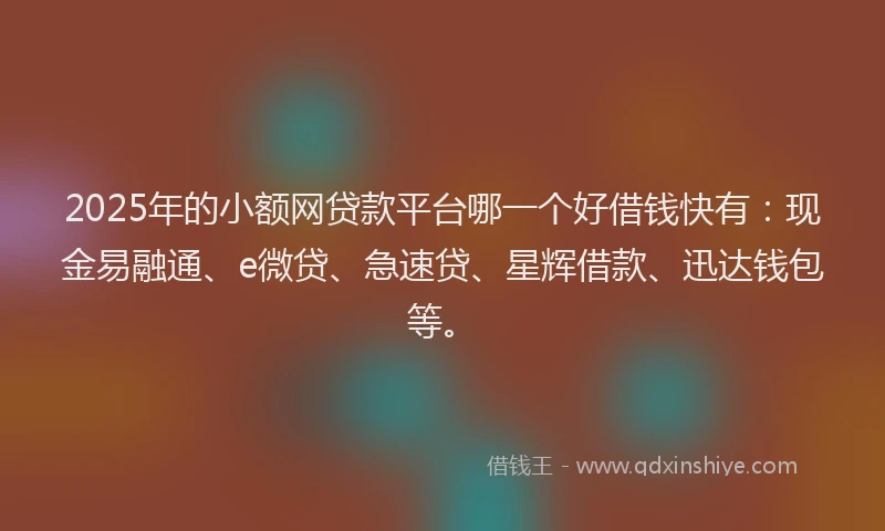 2025年的小额网贷款平台哪一个好借钱快有：现金易融通、e微贷、急速贷、星辉借款、迅达钱包等。