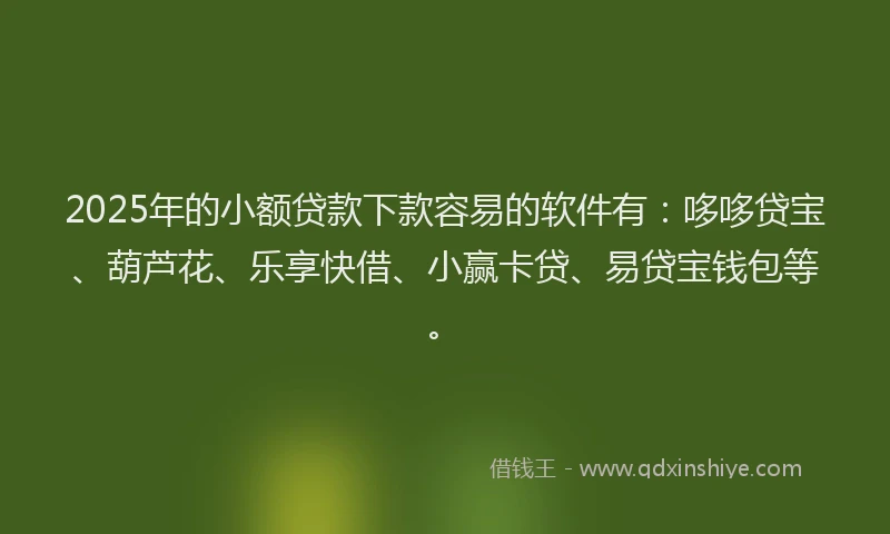 2025年的小额贷款下款容易的软件有：哆哆贷宝、葫芦花、乐享快借、小赢卡贷、易贷宝钱包等。