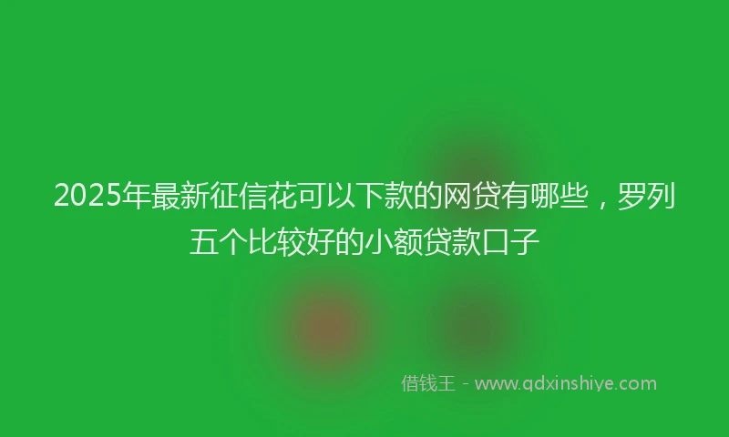 2025年最新征信花可以下款的网贷有哪些，罗列五个比较好的小额贷款口子