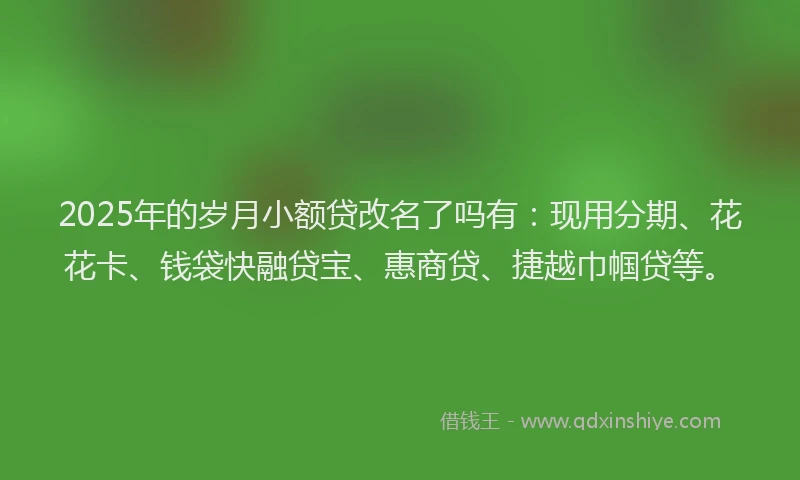 2025年的岁月小额贷改名了吗有：现用分期、花花卡、钱袋快融贷宝、惠商贷、捷越巾帼贷等。