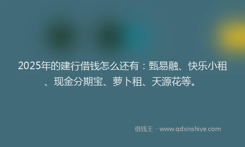 2025年的建行借钱怎么还有：甄易融、快乐小租、现金分期宝、萝卜租、天源花等。