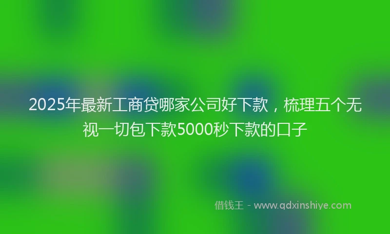 2025年最新工商贷哪家公司好下款，梳理五个无视一切包下款5000秒下款的口子