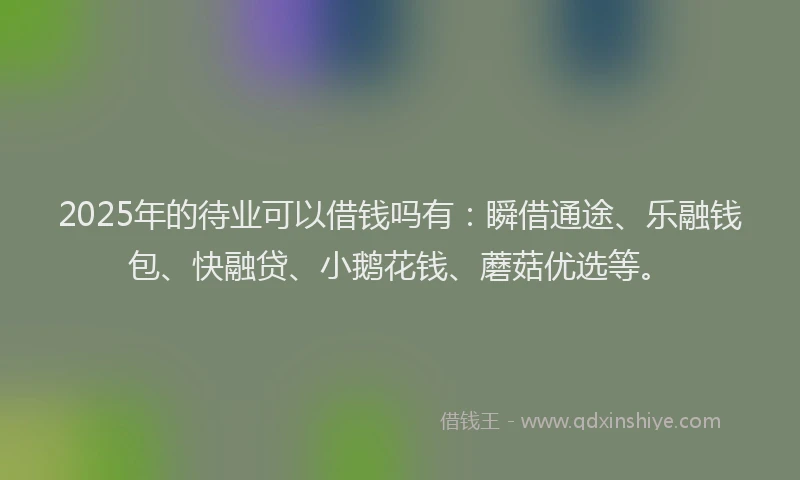 2025年的待业可以借钱吗有：瞬借通途、乐融钱包、快融贷、小鹅花钱、蘑菇优选等。