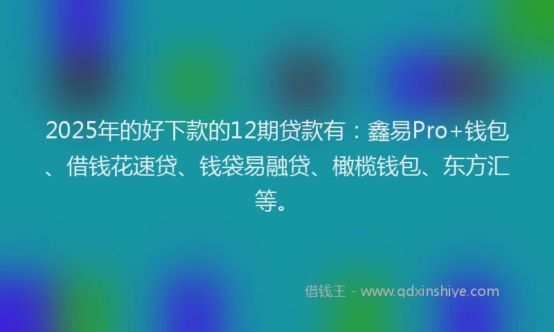 2025年的好下款的12期贷款有：鑫易Pro+钱包、借钱花速贷、钱袋易融贷、橄榄钱包、东方汇等。