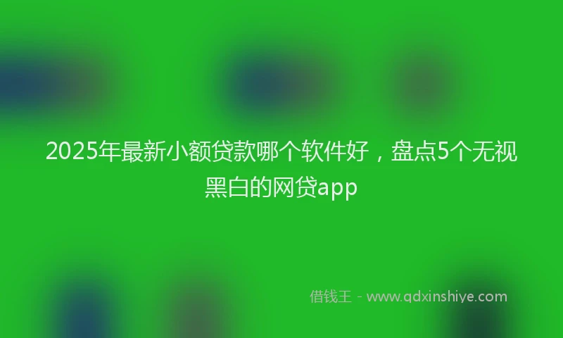 2025年最新小额贷款哪个软件好，盘点5个无视黑白的网贷app