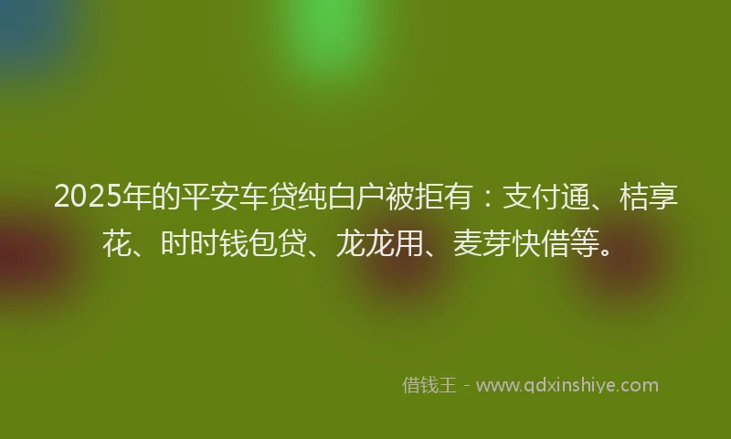 2025年的平安车贷纯白户被拒有：支付通、桔享花、时时钱包贷、龙龙用、麦芽快借等。