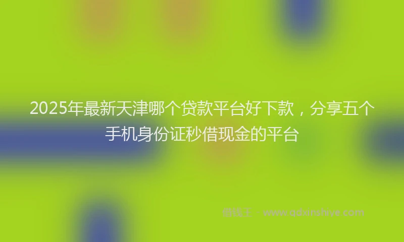2025年最新天津哪个贷款平台好下款，分享五个手机身份证秒借现金的平台