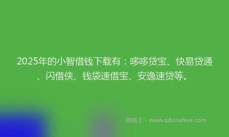2025年的小智借钱下载有：哆哆贷宝、快易贷通、闪借侠、钱袋速借宝、安逸速贷等。