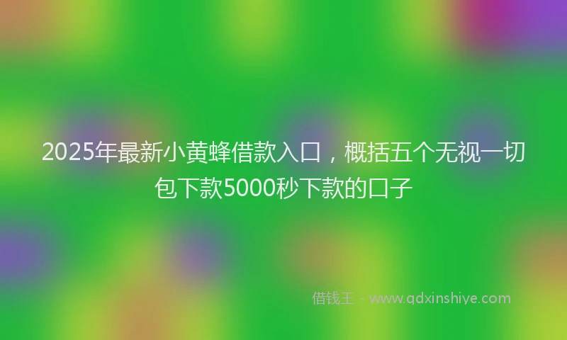 2025年最新小黄蜂借款入口，概括五个无视一切包下款5000秒下款的口子