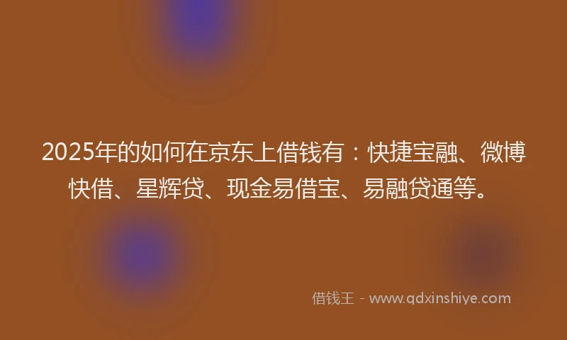 2025年的如何在京东上借钱有：快捷宝融、微博快借、星辉贷、现金易借宝、易融贷通等。