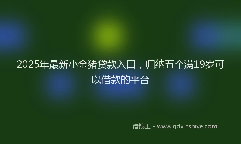 2025年最新小金猪贷款入口，归纳五个满19岁可以借款的平台