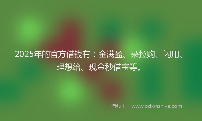 2025年的官方借钱有：金满盈、朵拉购、闪用、理想给、现金秒借宝等。