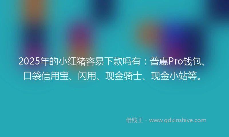 2025年的小红猪容易下款吗有：普惠Pro钱包、口袋信用宝、闪用、现金骑士、现金小站等。