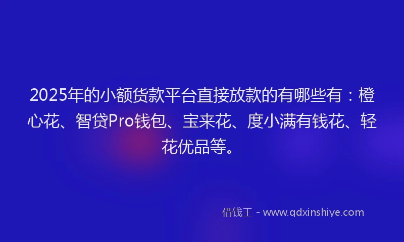 2025年的小额货款平台直接放款的有哪些有：橙心花、智贷Pro钱包、宝来花、度小满有钱花、轻花优品等。