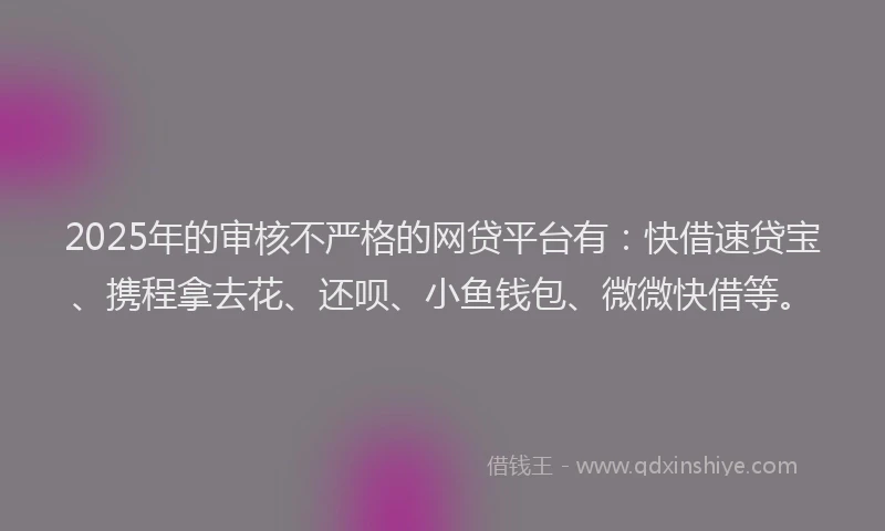 2025年的审核不严格的网贷平台有：快借速贷宝、携程拿去花、还呗、小鱼钱包、微微快借等。