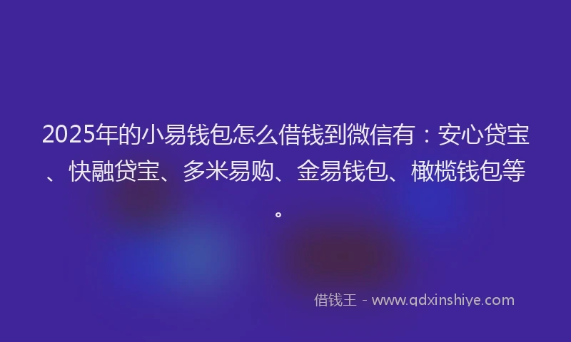 2025年的小易钱包怎么借钱到微信有：安心贷宝、快融贷宝、多米易购、金易钱包、橄榄钱包等。