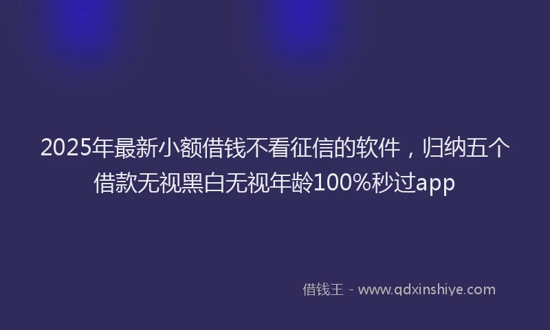 2025年最新小额借钱不看征信的软件，归纳五个借款无视黑白无视年龄100%秒过app