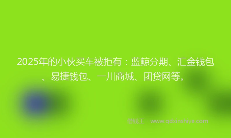 2025年的小伙买车被拒有：蓝鲸分期、汇金钱包、易捷钱包、一川商城、团贷网等。