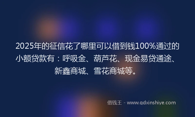 2025年的征信花了哪里可以借到钱100%通过的小额贷款有：呼吸金、葫芦花、现金易贷通途、新鑫商城、雪花商城等。