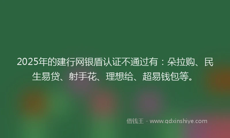 2025年的建行网银盾认证不通过有：朵拉购、民生易贷、射手花、理想给、超易钱包等。